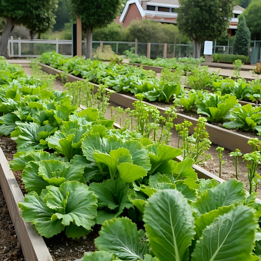 Our Ingredients & Clean Growing Philosophy