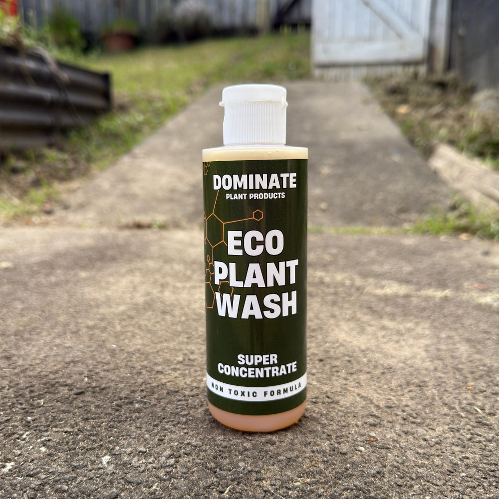Dominate - Eco Plant Wash 250ml